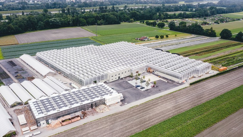 Agri-PV Anlage Lubera nach Inbetriebnahme Juni 2024 .