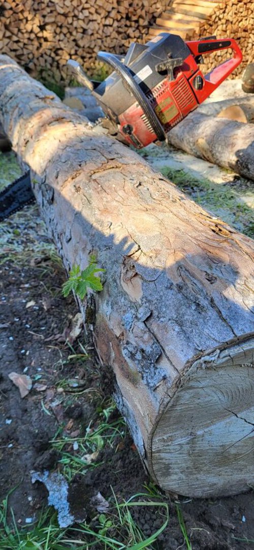  Brennholz aufrüsten in Mosnang, fotografiert von Andreas Rüdisüli, Gewinner der Kategorie Nutzfunktion. 