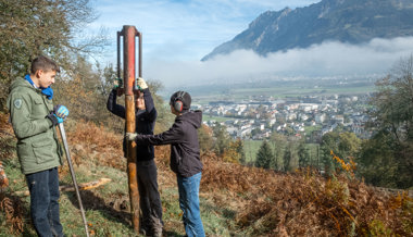 Von Schafweiden zur Waldidylle: Schüler gestalten neuen Eichenhain und schützen die Natur