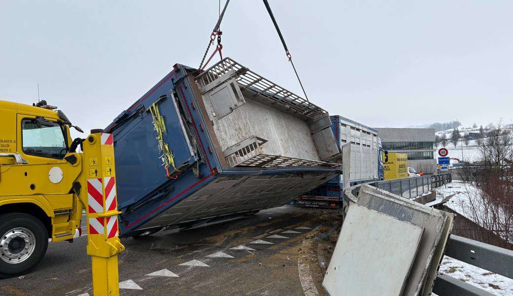 Schweinetransporter umgekippt – Tiere mussten vor Schlachtung umgeladen werden