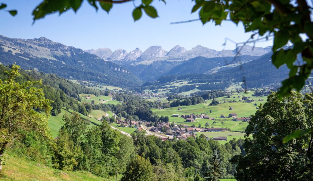  Die Natur im Toggenburg, das gute Handwerk und das authentische Auftreten des Tals werden von aussen wahrgenommen. 