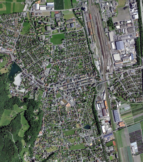  Das Satellitenbild von 2021 zeigt den Baumbestand in der Stadt Buchs. 