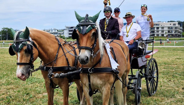 Werdenberger Gespannfahrer gewinnen beim OKV-Fahrchampionat Medaillen