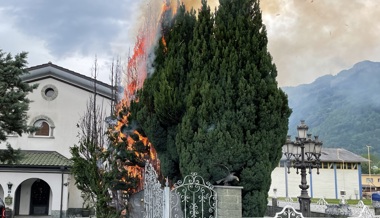 Feuerwehr mussten wegen brennender Zypressen ausrücken