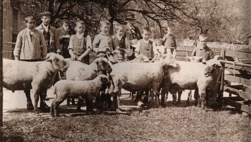  Dieses Erinnerungsbild aus früheren Jahren des Schafzuchtvereins Grabs zeigt einige der jungen Züchter und ihre Tiere.