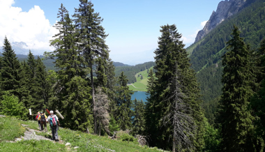 Gut zu Fuss und nicht aus Zucker? Freiwillige für Alpenpflege gesucht