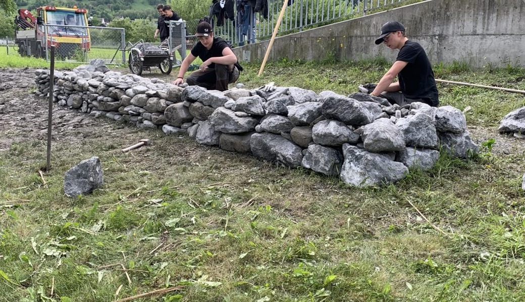 Wie Profis errichten die Schülerinnen und Schüler eine Trockenmauer.