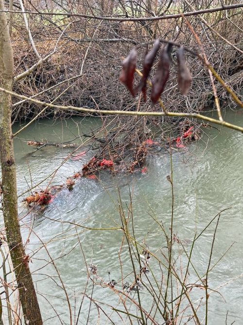  So sah es fast überall im Mühlbach aus.