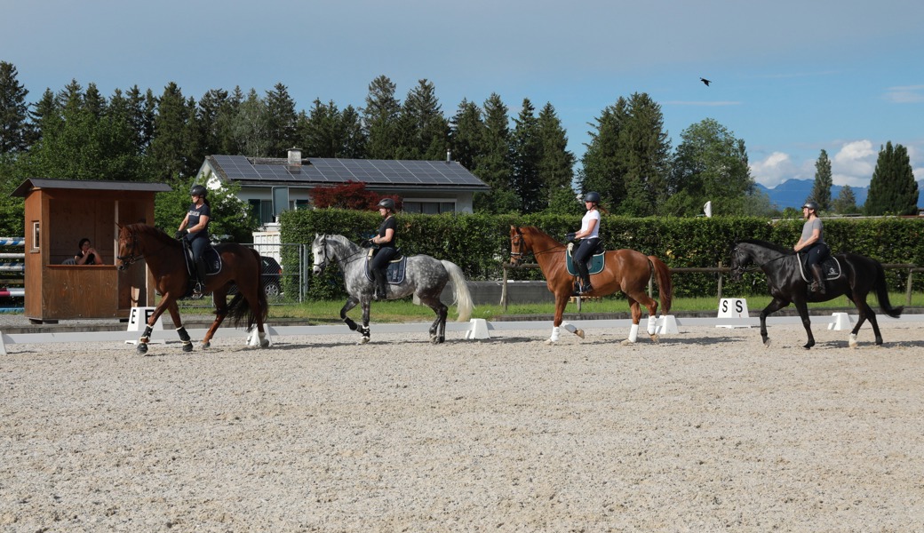 In Reih und Glied: Synchronität und die Abstände gleich halten stellt für Ross und Reiterinnen im Mannschaftsdressurreiten eine Herausforderung dar.