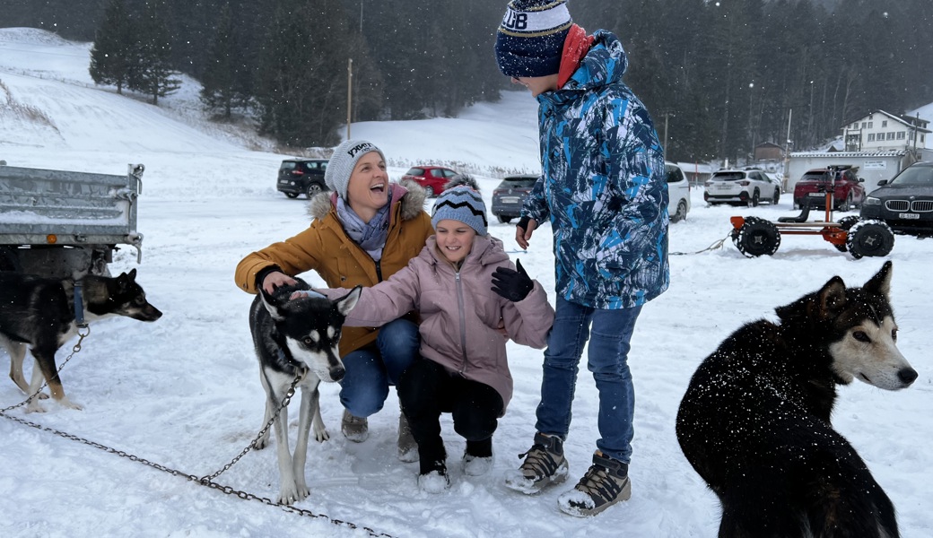 Die Hunde durften von den Teilnehmenden geknuddelt werden.