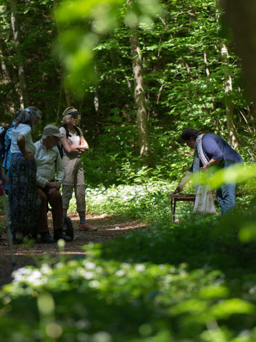  Die Kursleiterin tischt auf: Tastsinnübungen mit Gegenständen aus dem Wald. 