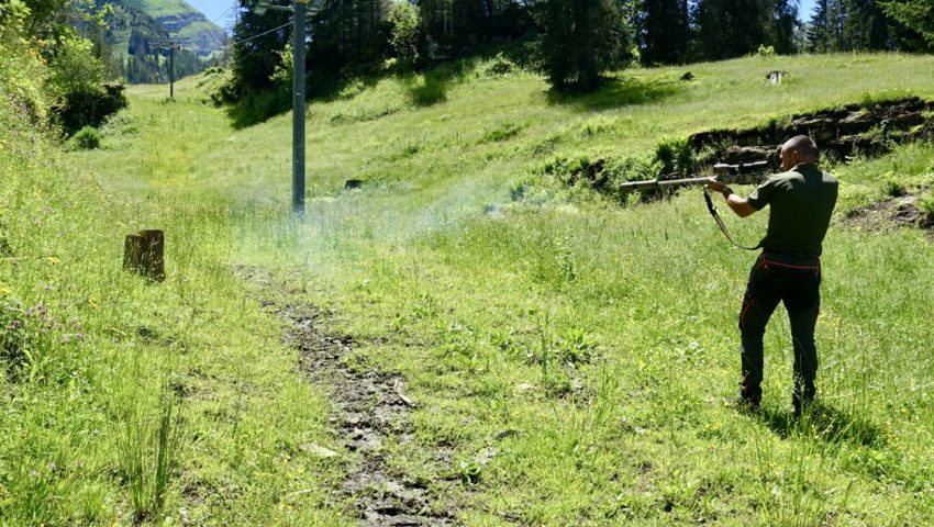  Rolf Wildhaber gibt einen Schuss auf einen Baumstrunk ab. 