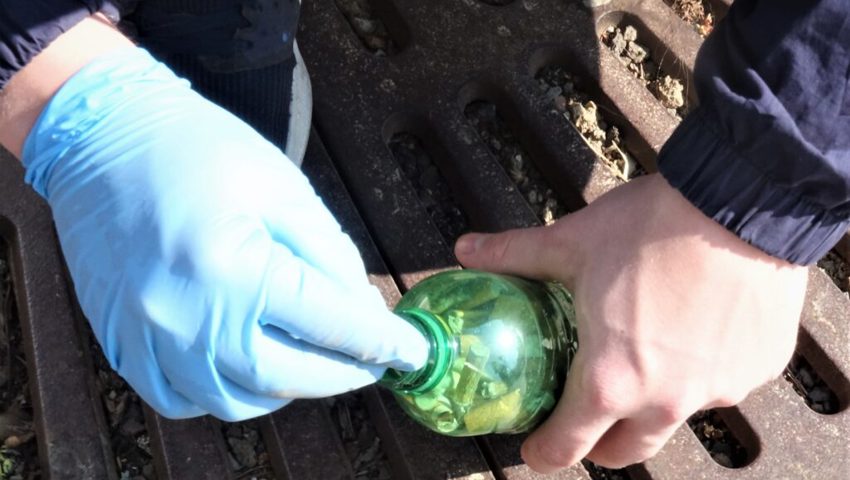  Aufklauben und rein in die Petflasche, die sich rasch füllt. 