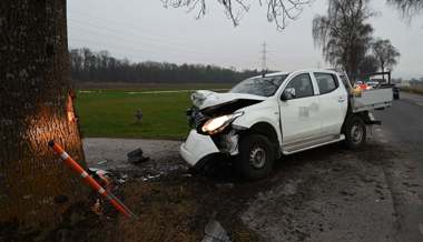 Mann fährt mit Lieferwagen in Baum