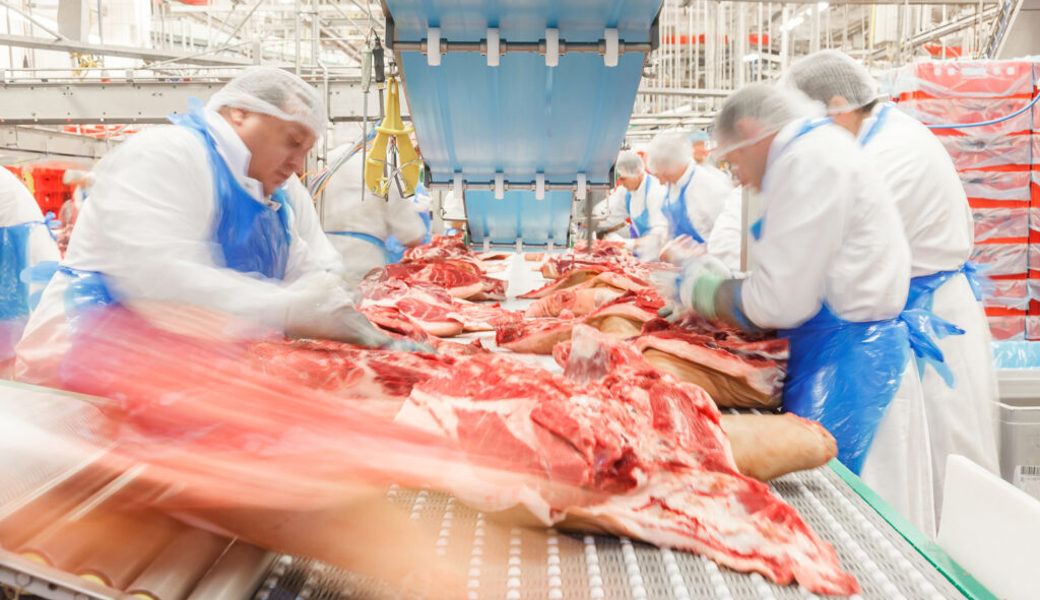  Fleischzerleger an der Arbeit im Tönnies-Stammwerk in Rheda-Wiedenbrück zwischen Bielefeld und Dortmund. 