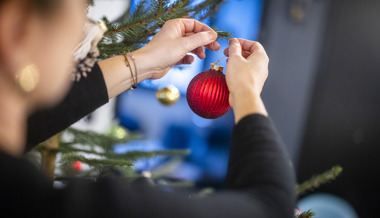 Streitpunkt Christbaum: Nostalgie oder doch lieber Langlebigkeit?