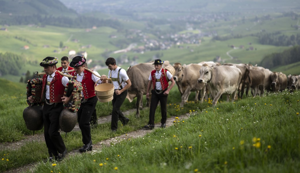 Die Rekrutierung des Alppersonals stellt eine Herausforderung dar.