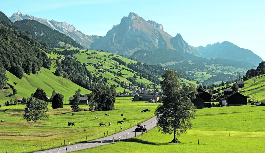 Ein Rufbussystem soll die Erschliessung mit dem Öffentlichen Verkehr im Obersten Toggenburg gezielt vorantreiben: Blick von Starkenbach in Richtung Schafberg.