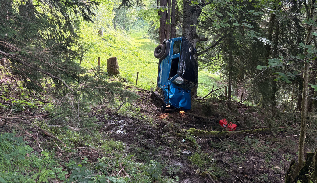 Auf Alpstrasse tödlich verunglückt