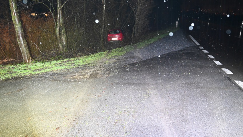 Das Auto kam in einem Windfang aus Bäumen zum Stehen.