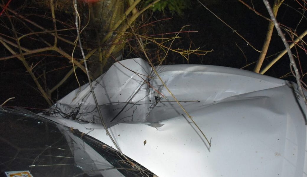  Die stark beschädigte Motorhaube: Das Auto kam nach dem Steineinschlag von der Strasse ab. 