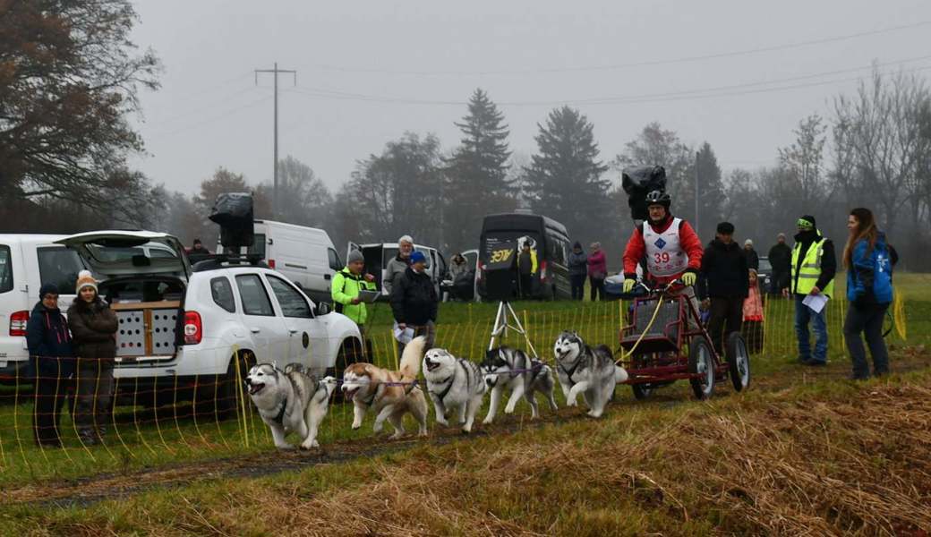 97 Teams beteiligten sich am Wagenrennen in Sennwald. Ramona Riedener