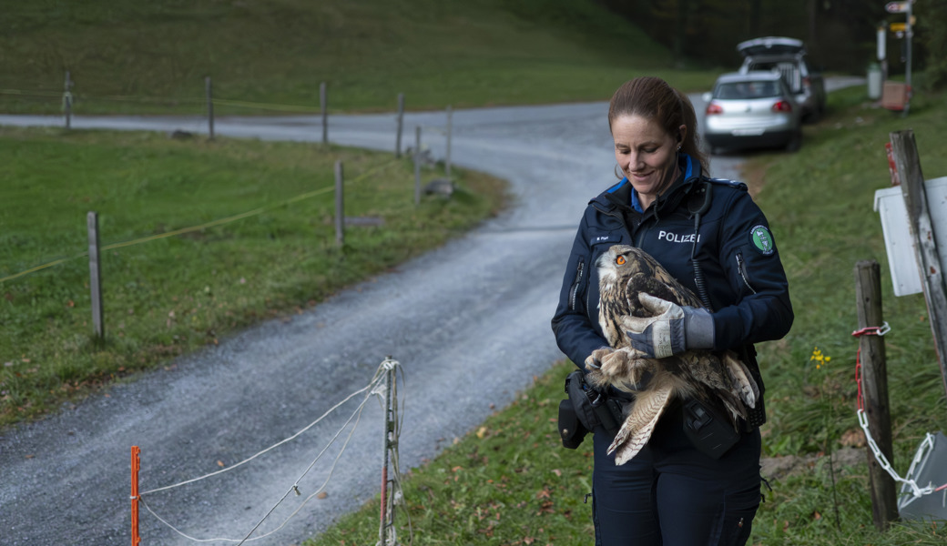 Gerettet und freigelassen: Marion Fluri durfte den Uhu mit Wildhüter Albert Good auch wieder in die Wildnis entlassen.