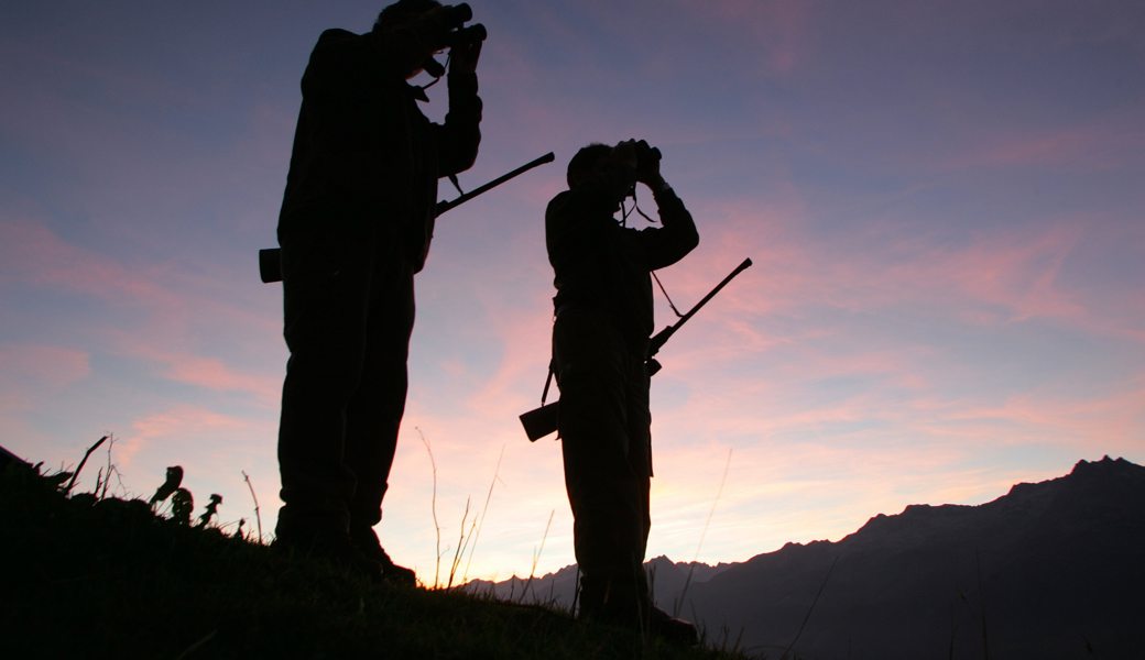 Wildfotofalle bringt einen frechen Wildfrevel ans Licht