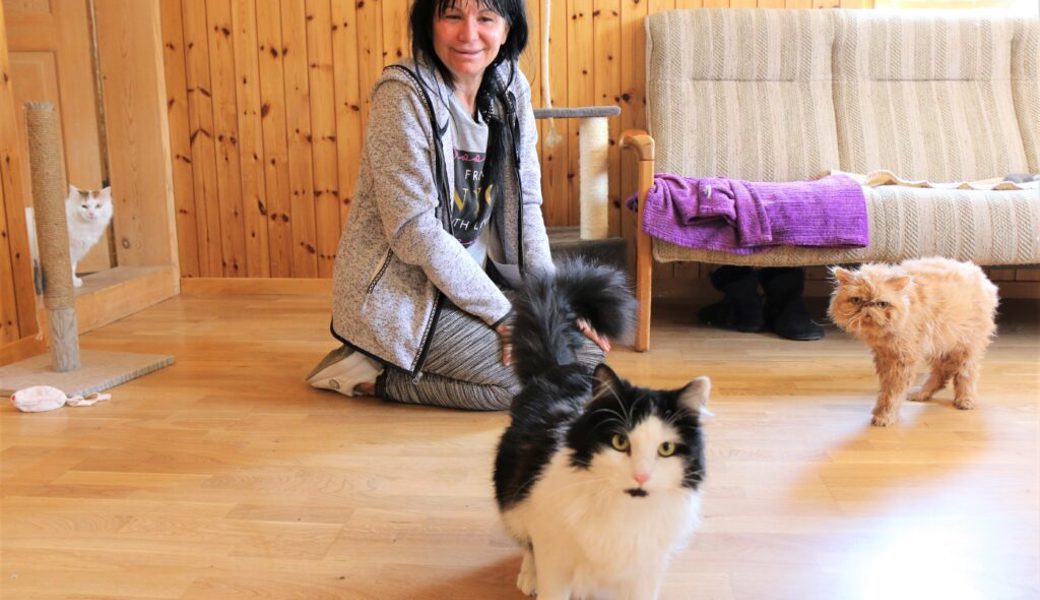  Tanja Voevodina mit ihren Katzen Lunya, Lolik und Persik (von links) in ihrer Wohnung in Unterwasser. 