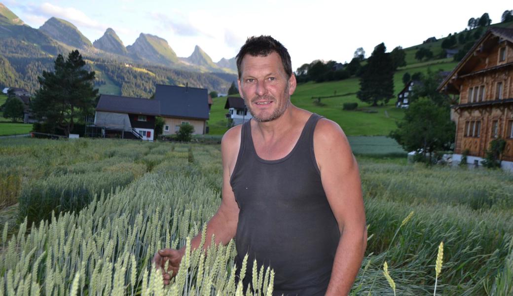 Jakob Knaus, Vizepräsident der Genossenschaft Alpsteinmühle und Präsident des Vereins Alpsteinkorn im Versuchsfeld vor seinem Wohnhaus im Unterwasser Chüeboden.