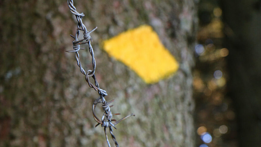  Dem Verein St. Galler Wanderwege ist dieses Projekt 40000 Franken wert. 