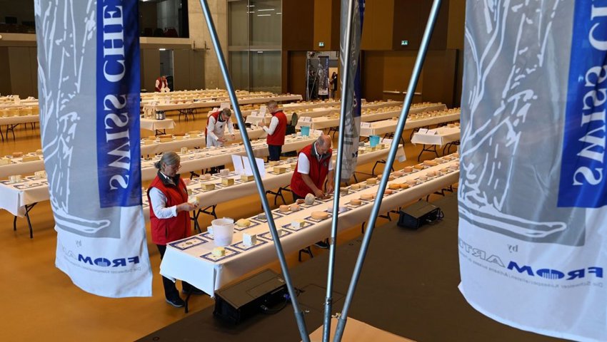  Die Jury bewertete über 1000 Käse. 