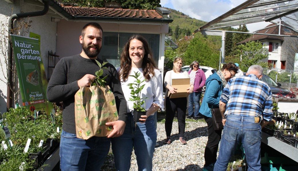 Abholtag in Buchs: Marc Beeler und Anja Vetsch freuen sich, die heimischen Wildstauden im Garten zu pflanzen.