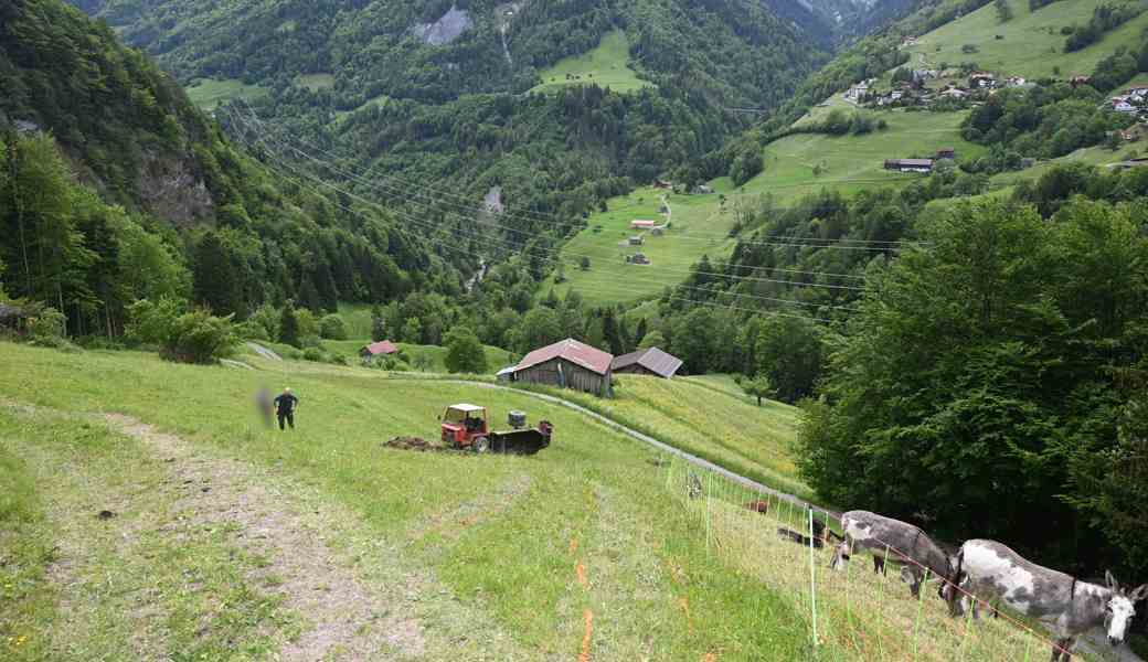 Der verunfallte Fahrer wurde ins Spital geflogen.