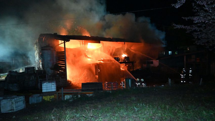 Stall in Vollbrand, Kühe gerettet: Löscharbeiten dauern an – grosser Sachschaden