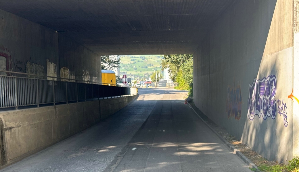 Auf der Langäulistrasse prallte ein E-Bike-Fahrer bei der Unterführung in eine Baustellenabschrankung.