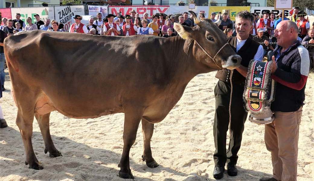 Fink, die Braun-Swiss-Kuh von Gerald Scherrer (links), erhält den Siegerpreis als Miss Jubiläum. Hanspeter Thurnherr