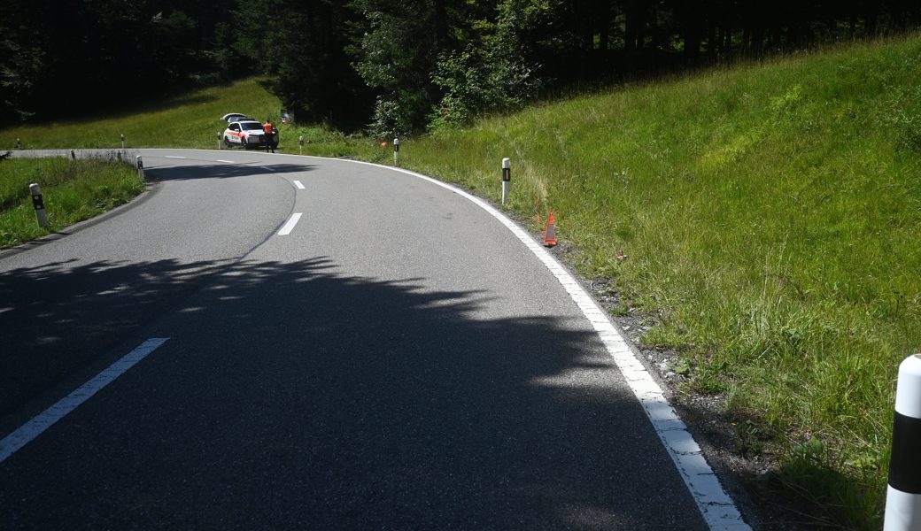 Der Unfallenker schoss in einer Linkskurve über den Strassenrand hinaus.