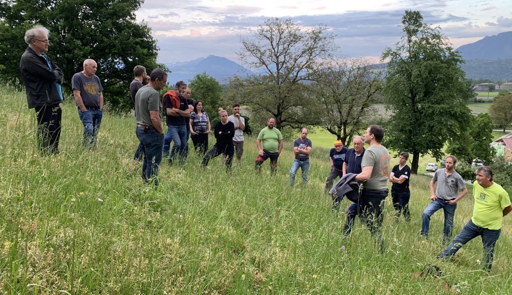  Die Bekämpfung des Einjährigen Berufkrauts bedeutet für die Landwirtschaft einen enormen Mehraufwand. Am Erfahrungsaustausch des Landwirtschaftlichen Zentrums SG wurden effizientere Strategien rege diskutiert. 