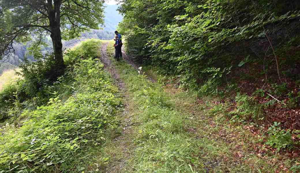 Der Fahrer wurde beim Unfall verletzt.