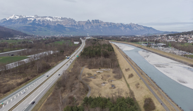 Grosssanierungsprojekt am Rheindamm geplant