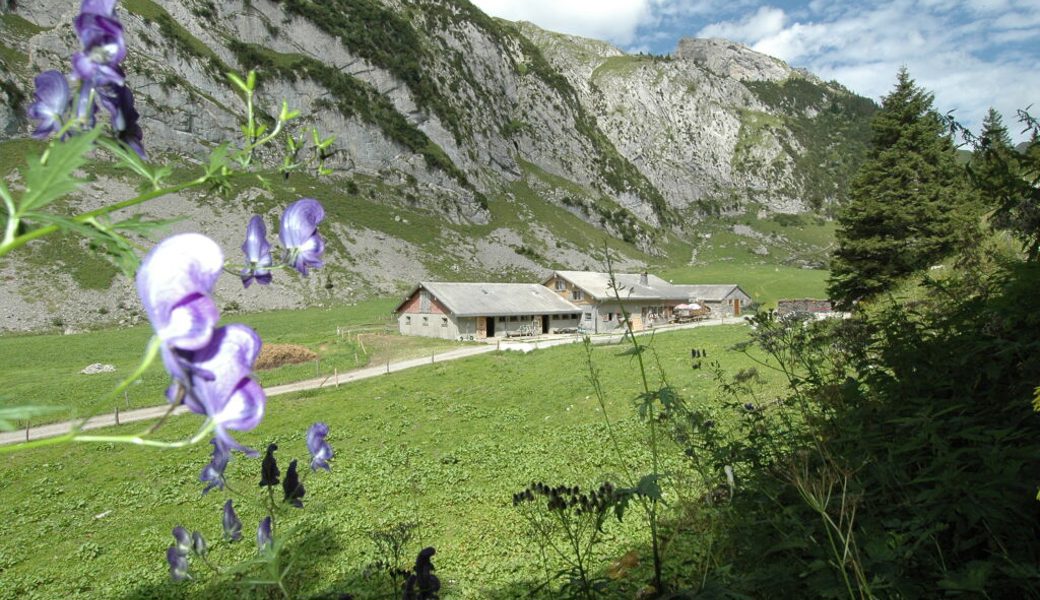  Die Eintragung eines Baurechts scheint für viele Landwirtinnen und Landwirte eine gangbare Lösung zu sein, wenn daraus keine Kosten entstehen. Symbolbild: PD