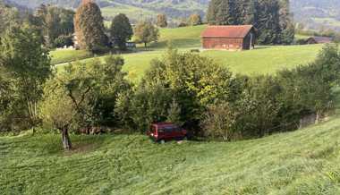 Auto durchbricht Weidezaun und prallt in Schaf