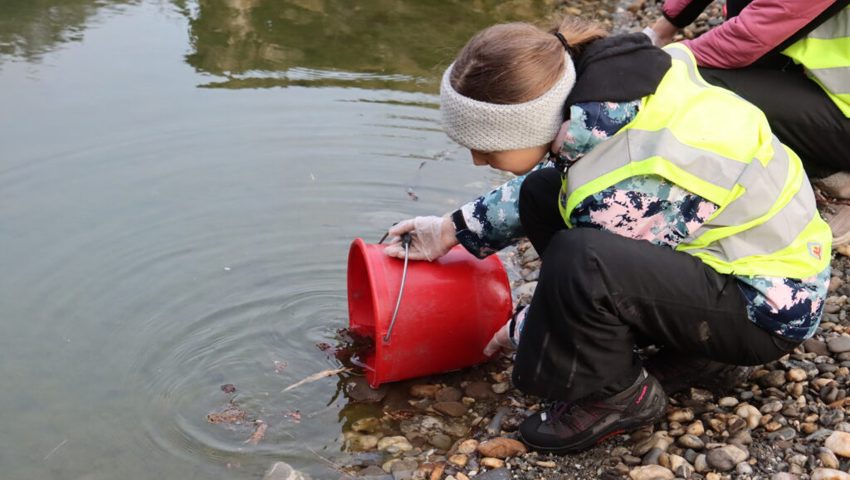  Erfolgreiches Aussetzen im neuen Weiher. 